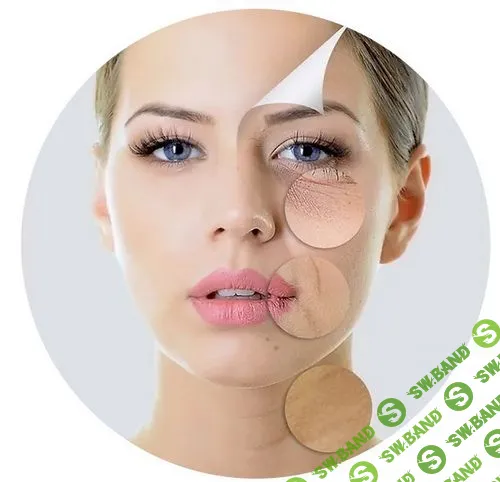 [Константин Берман] Анатомия старения (2023)