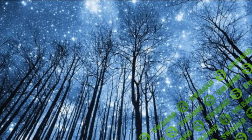 [Константин Дараган] Астрология налегке (ноябрь-декабрь) (2024)