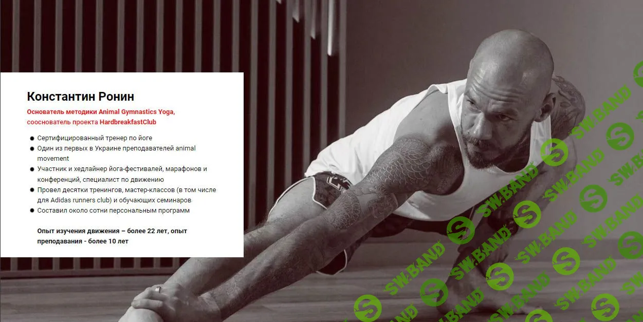 [Константин Ронин] Animal Gymnastics Yoga (AGY) Level 1