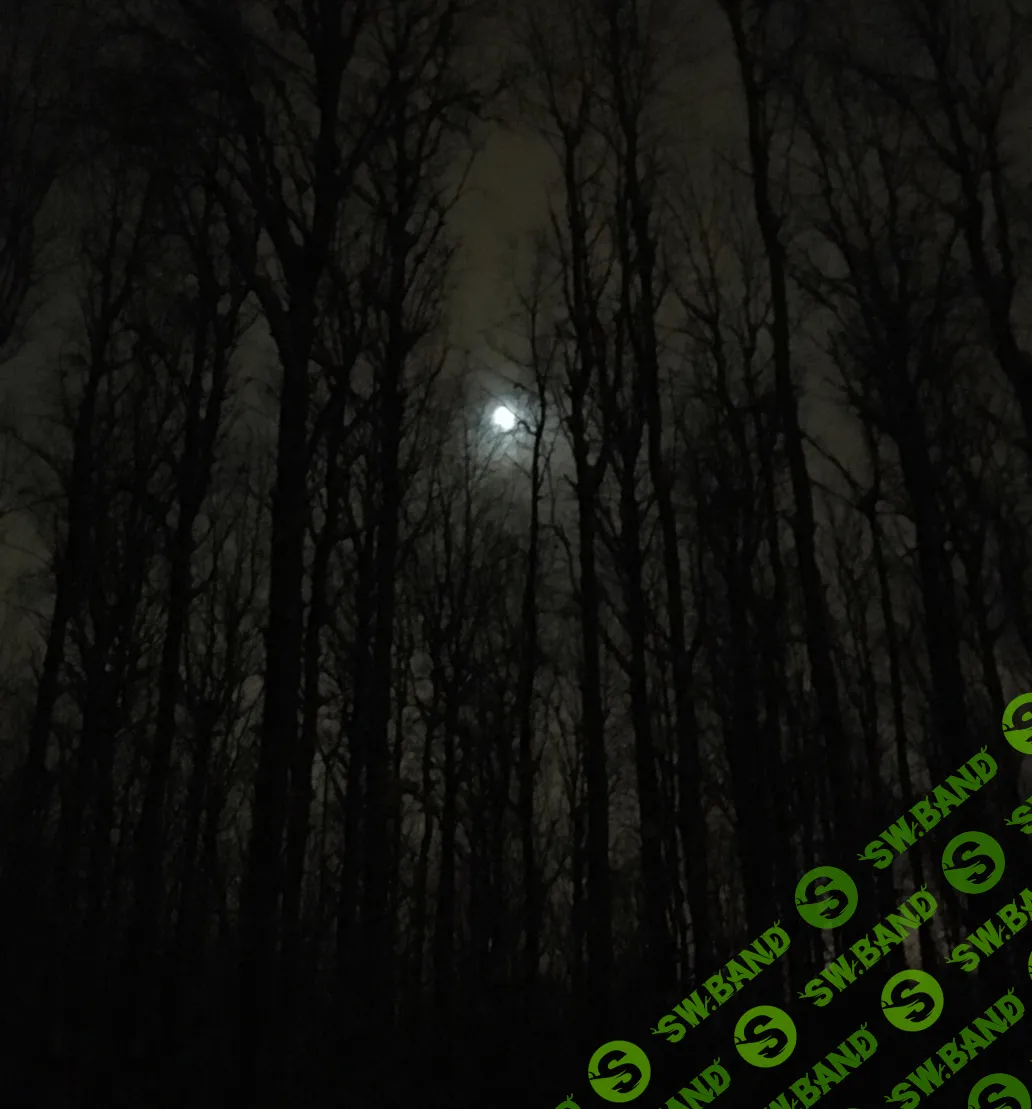 [Константин Соломатин] Дерзость (2020)