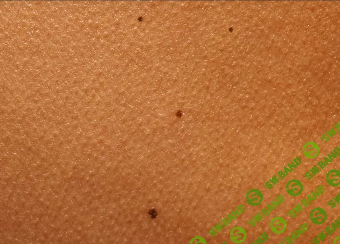 Кожный покров [Эдуард Гуляев]