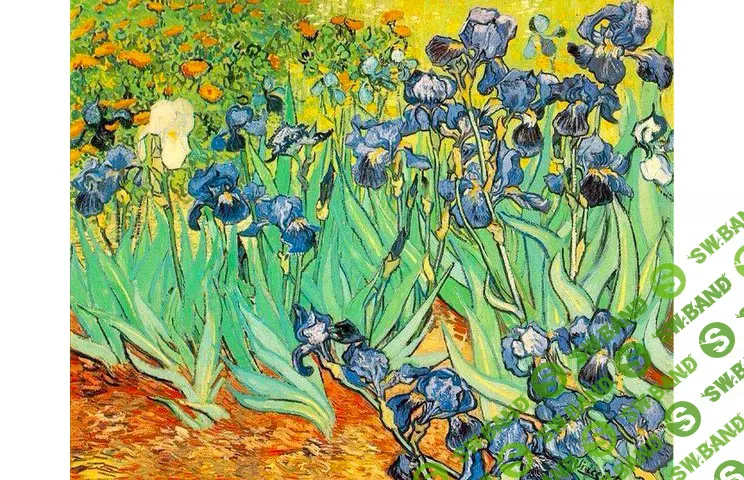 [Краева] Ирисы