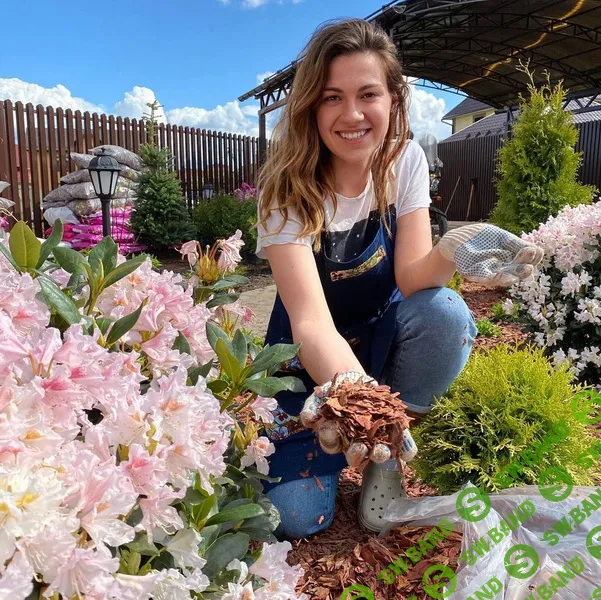 [Кристианна Виниченко] Цветник на солнце (2025)