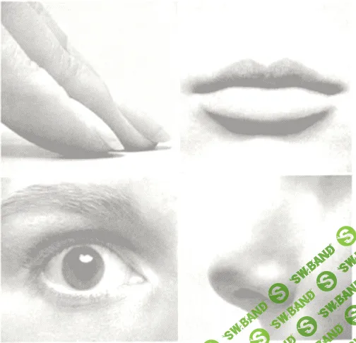 [Криворучко М. В.] Общая психология: Ощущение, восприятие, представление (2009)