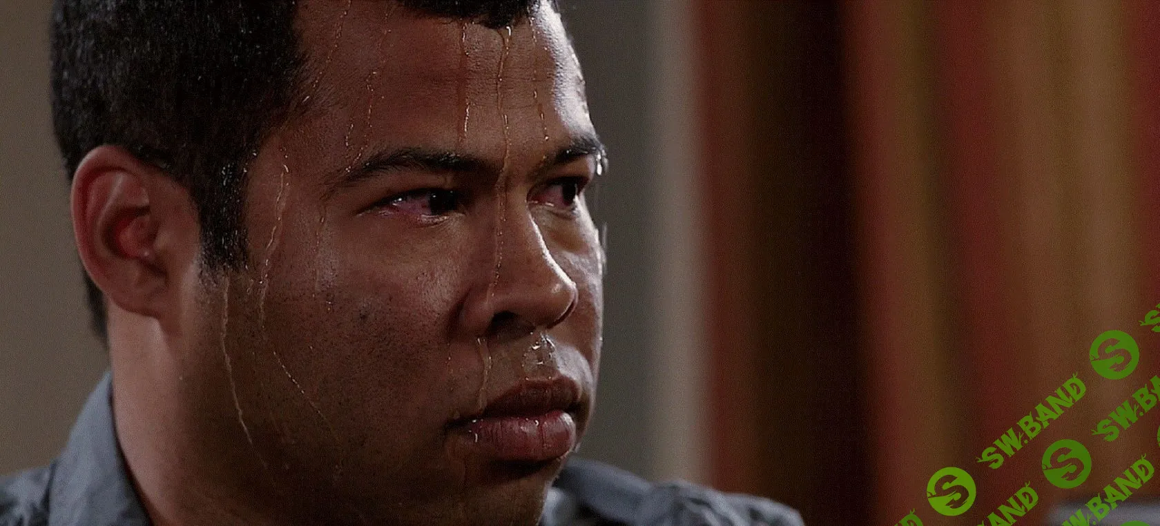 Кровь, пот и слезы. Как создать эффективную программу лояльности: кейс Mamsy.ru