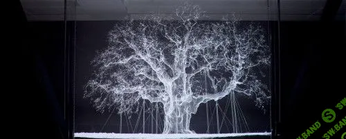 [Ксения Голубович] Предмет искусства: образ, начало (2023)