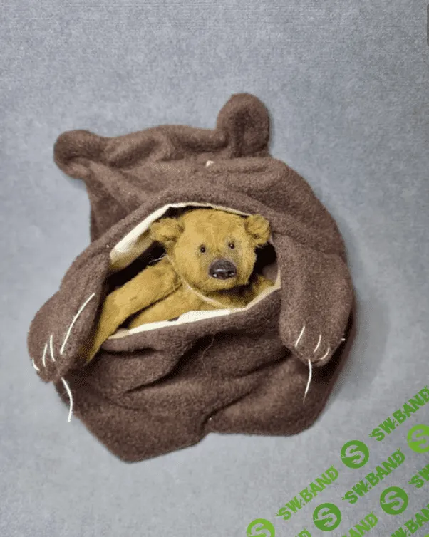 [Ксения Костина] Мишка-Талисман (2023)