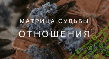 [Ксения Ликич] Матрица. Отношения (2022)