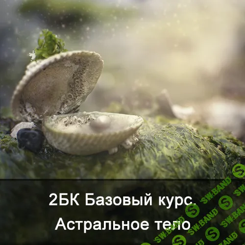 [Ксения Меньшикова] 2БК Базовый курс. Астральное тело (2021)