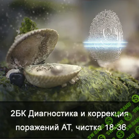 [Ксения Меньшикова] 2БК Диагностика и коррекция поражений АТ, чистка от 18 до 36 лет (2021)