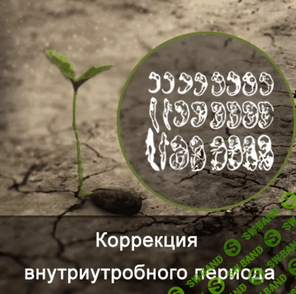 [Ксения Меньшикова] Коррекция внутриутробного развития (2021)