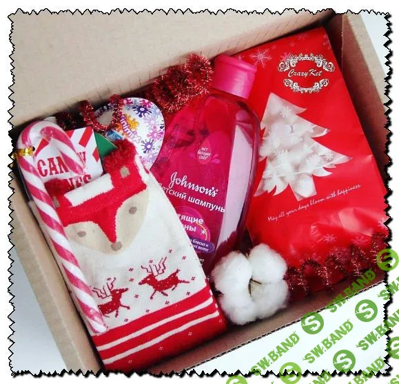 [Ксения Огибина] ФРАНШИЗА «SURPRISE BOX»