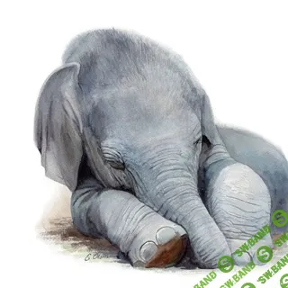 [Куклы] Бич Пакет. Сезон II. Слон [Ольга Муравьева]