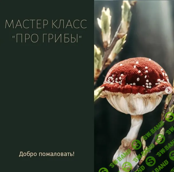 [Куклы] Про Грибы [Светлана Крашенинникова]