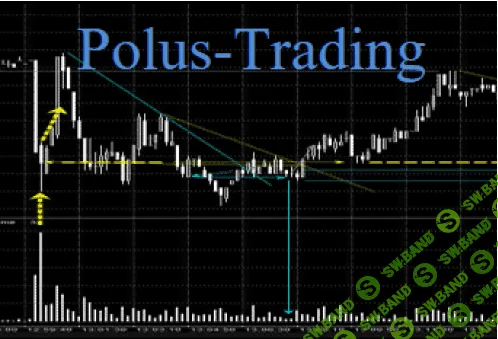 Курс Анвара Садыкова polus-trading 4 и 5 финальная группа