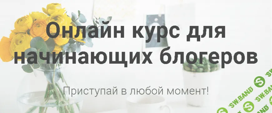 Курс для начинающих блогеров - Марина Гиллер (2017)