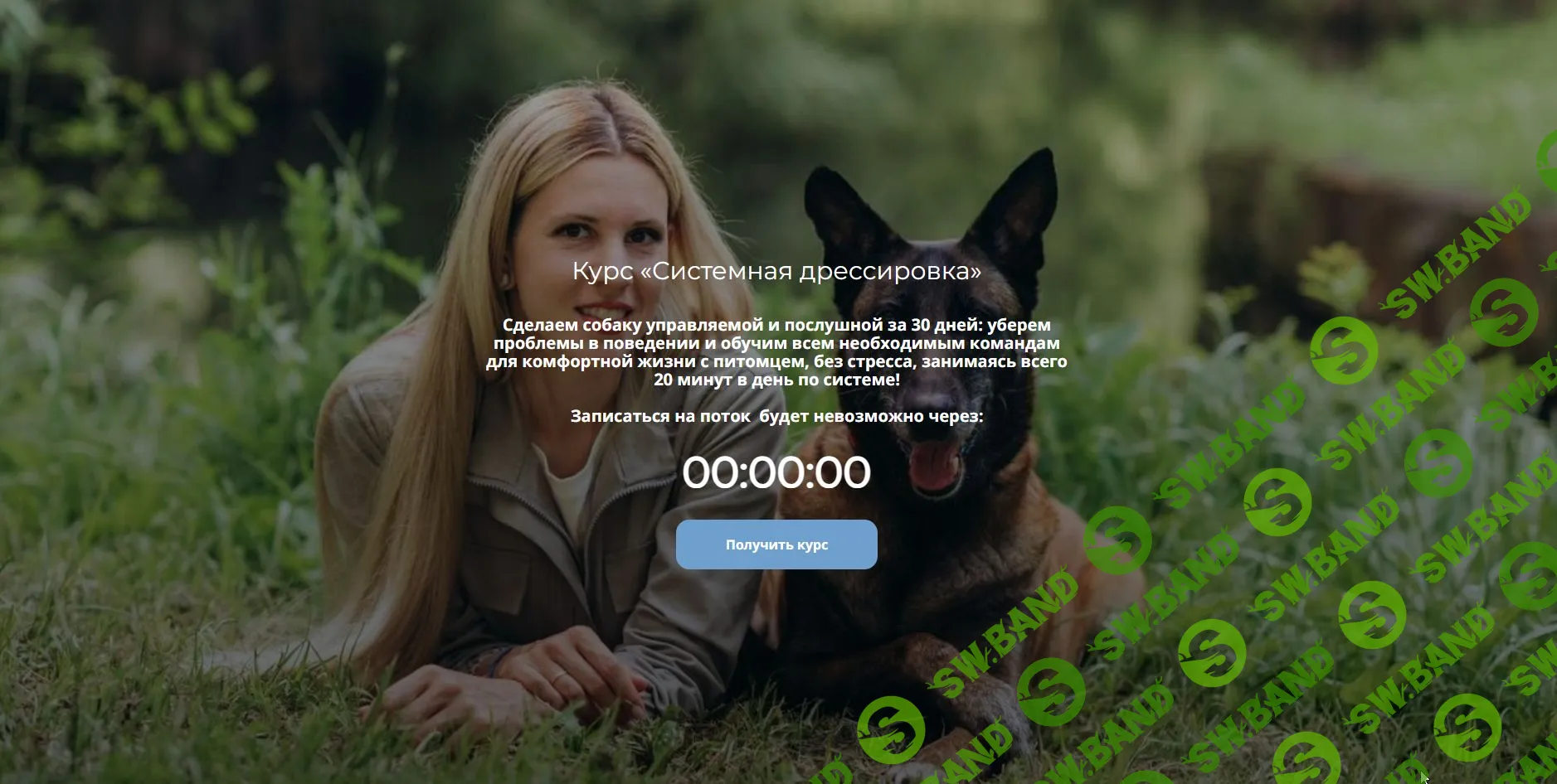 Курс «Системная дрессировка» [Тариф базовый] [Татьяна Мозгова]