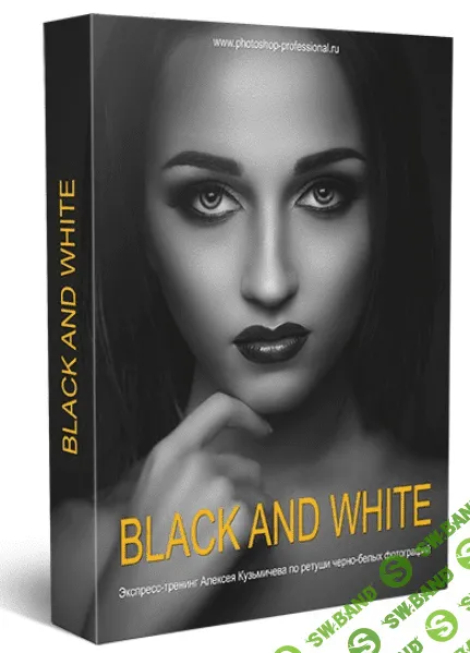 [Кузьмичев] Black and White (2014)
