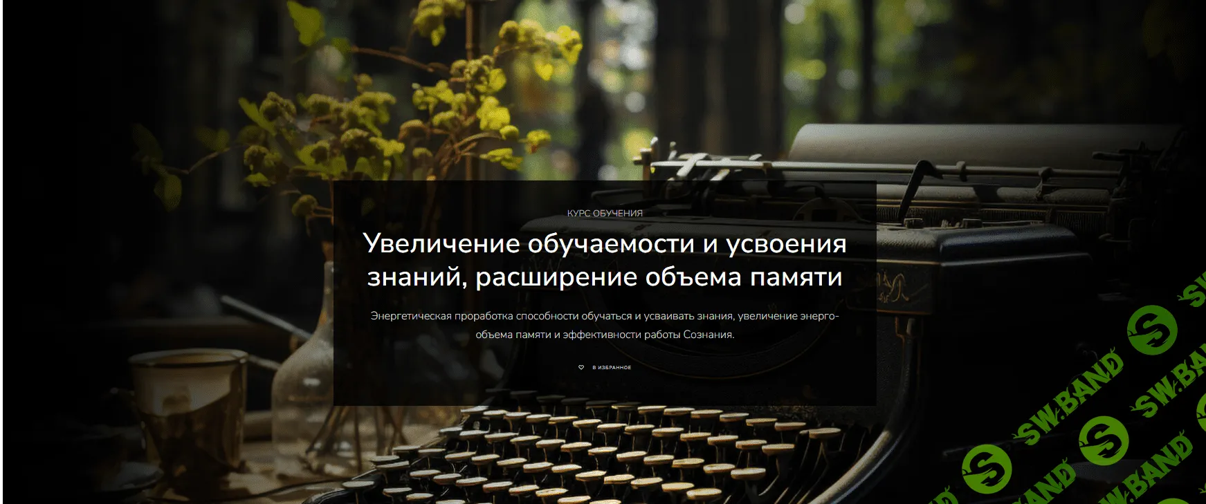 [Lea Adje] Увеличение обучаемости и усвоения знаний, расширение объема памяти (2023)