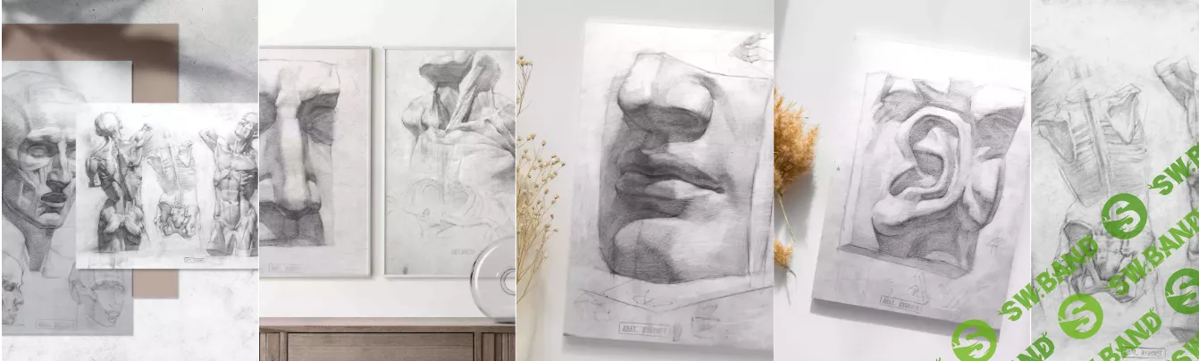 [Lectoroom] Пластическая анатомия. Большой курс (2022)