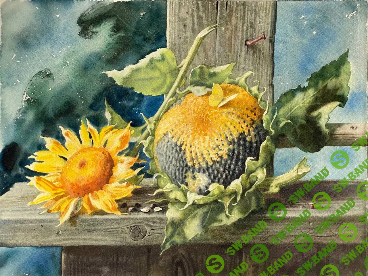 [lectoroom] Подсолнухи акварелью (2023)