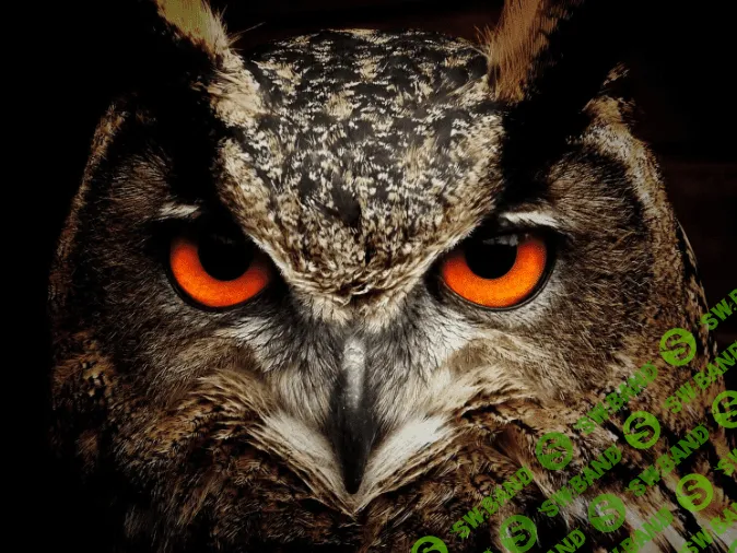 [Lee] ПодСознание + транскрибация (2019)