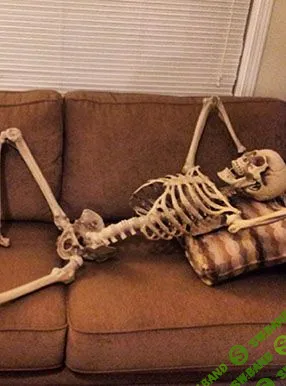 Лекарство от лени - AST Production (2017)