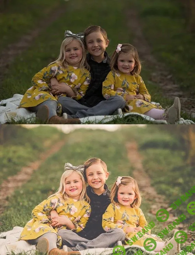 [Lemonand] КОЛЛЕКЦИЯ GOLD FOX / ПРЕДУСТАНОВКИ LIGHTROOM