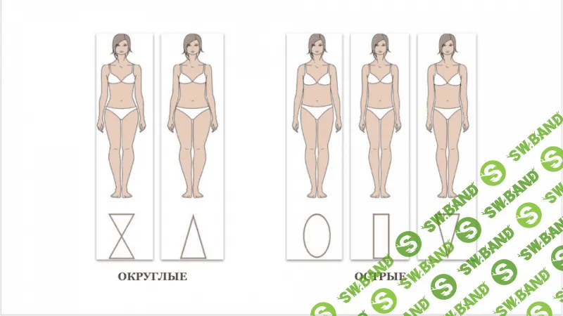 [Лена Червова] Типы фигур и силуэты (2020)