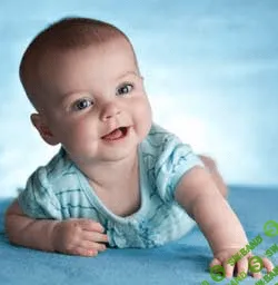 [Лена Данилова, Анна Андреева ] Школа карапуза