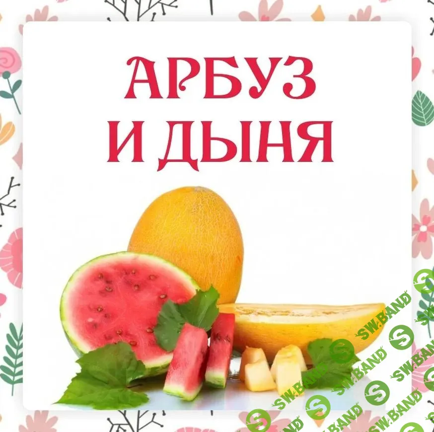 [Ленивый кулинар, Ольга Данчук, Елена Воронцова] Арбуз и дыня (2023)