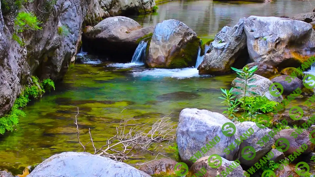 [Ленни Россоловски] Продление жизни