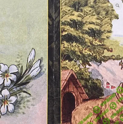 [Ленорман] Все 12 обучающих курсов (Колена)