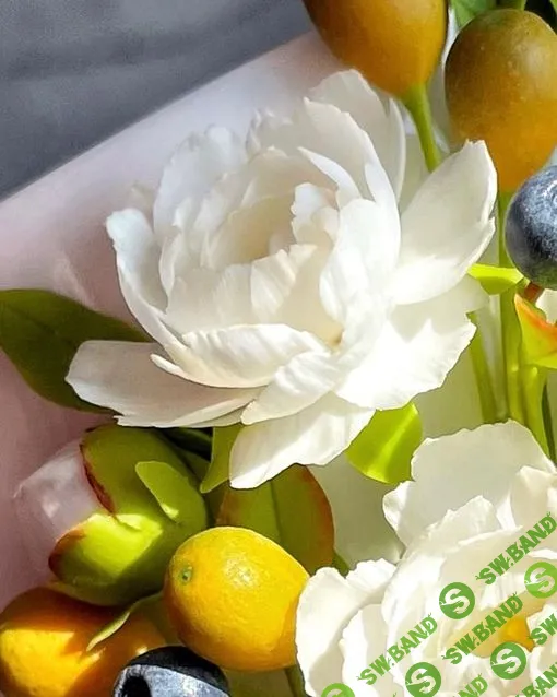 [Lep_ot_a, Александра Мочульская] Аромат лета (2023)