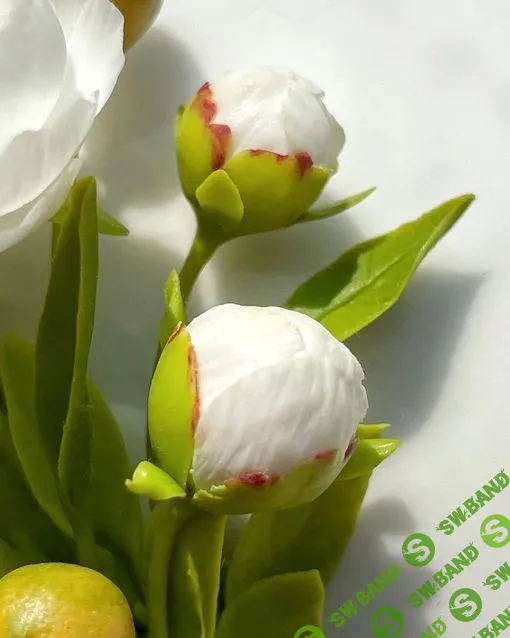 [Lep_ot_a, Александра Мочульская] Аромат лета (2023)