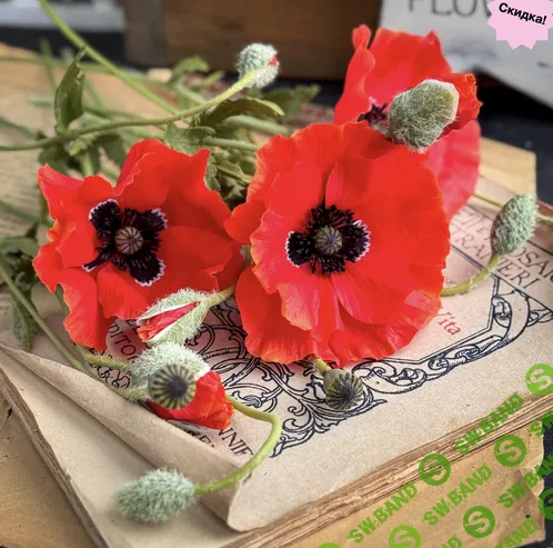 [Лепка] Маки [Tanya Flower]