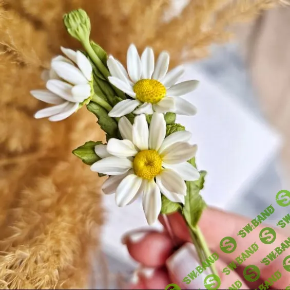 [Лепка] Ромашки. Брошь букет [Лепимое дело] [Ольга Гусева]