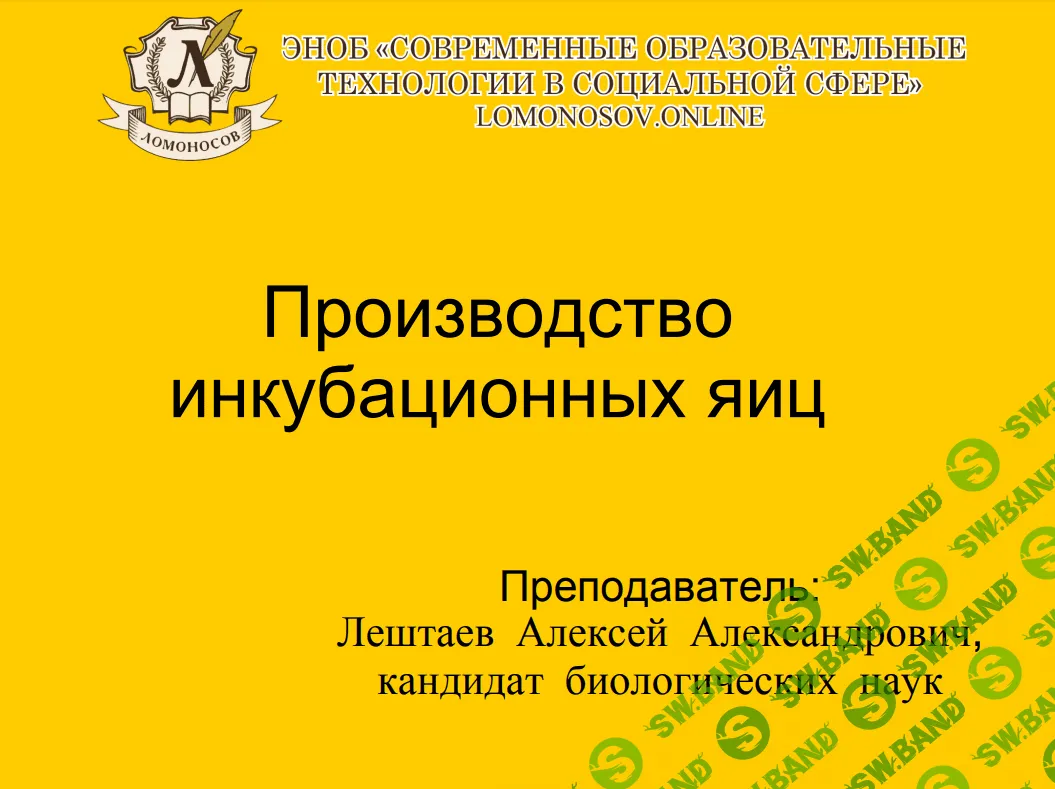 [Лештаев Алексей Александрович] Производство инкубационных яиц (2023)