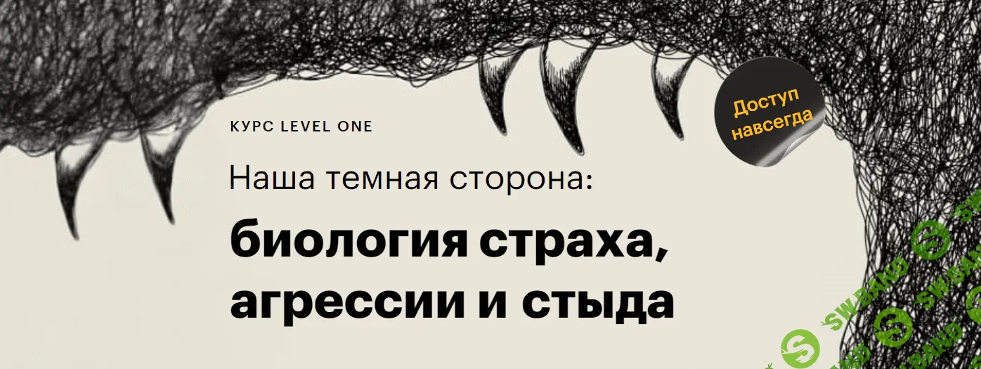 [Level One, Иван Квасов] Наша темная сторона - биология страха, агрессии и стыда (2023)