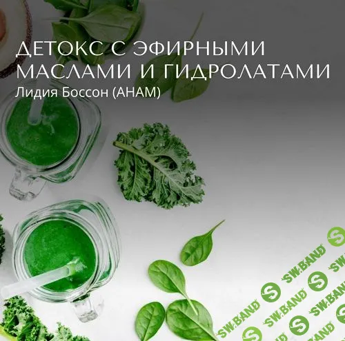 [Лидия Боссон] Детокс с эфирными маслами и гидролатами (2024)