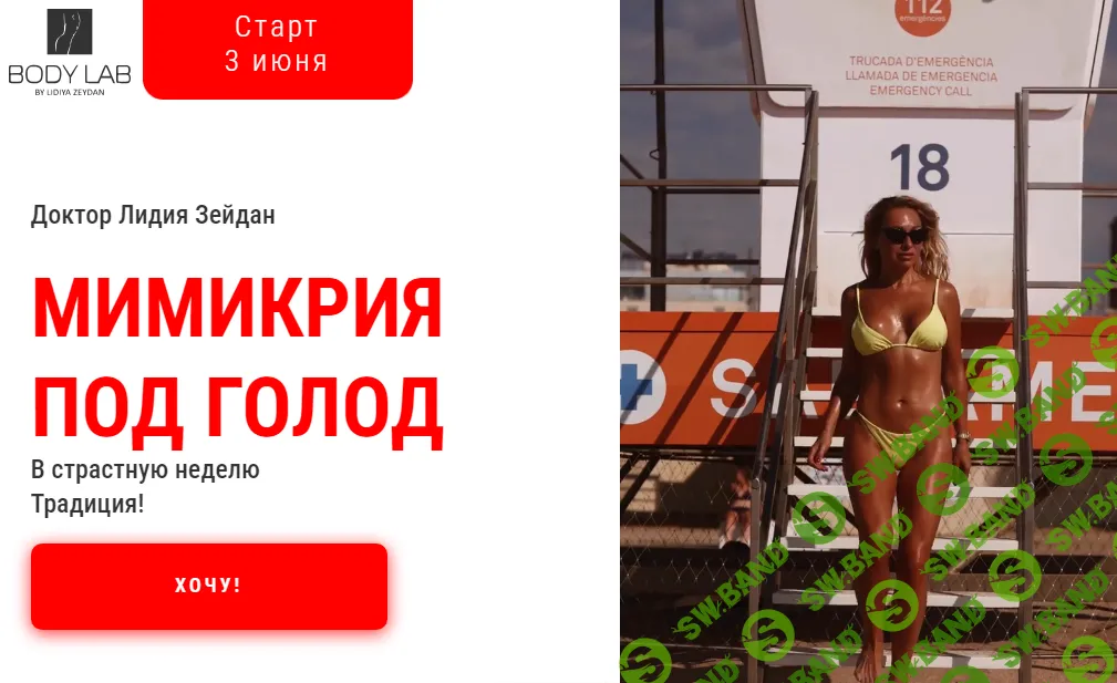 [Лидия Зейдан] Мимикрия под голод (2024)