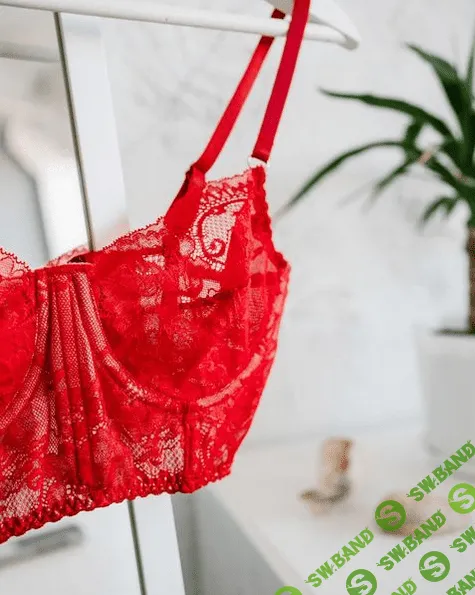 [Лилия Хамитова] [Шитье] Закрытый клуб по построению и пошиву нижнего белья.1 месяц (2022)