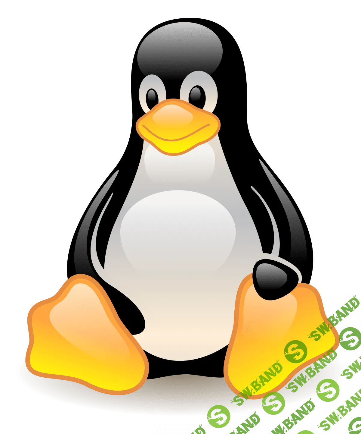 Linux (CentOS/Debian). Уровень 2. Администрирование сервисов и сетей