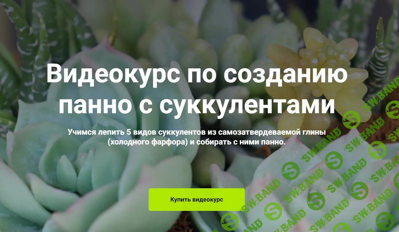 [Любовь Мирошниченко] Панно с суккулентами (2024)