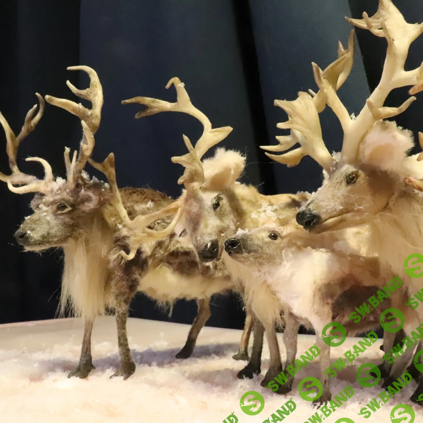 [Любовь Мирошниченко] Северный Олень из глины (2024)