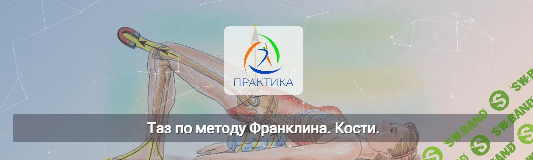 [Людмила Бабанская] [Центр Практика] Таз по методу Франклина. Кости (2022)