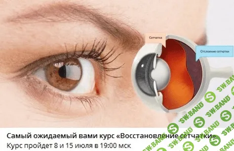 [Людмила Лазарева] Восстановление сетчатки (2023)