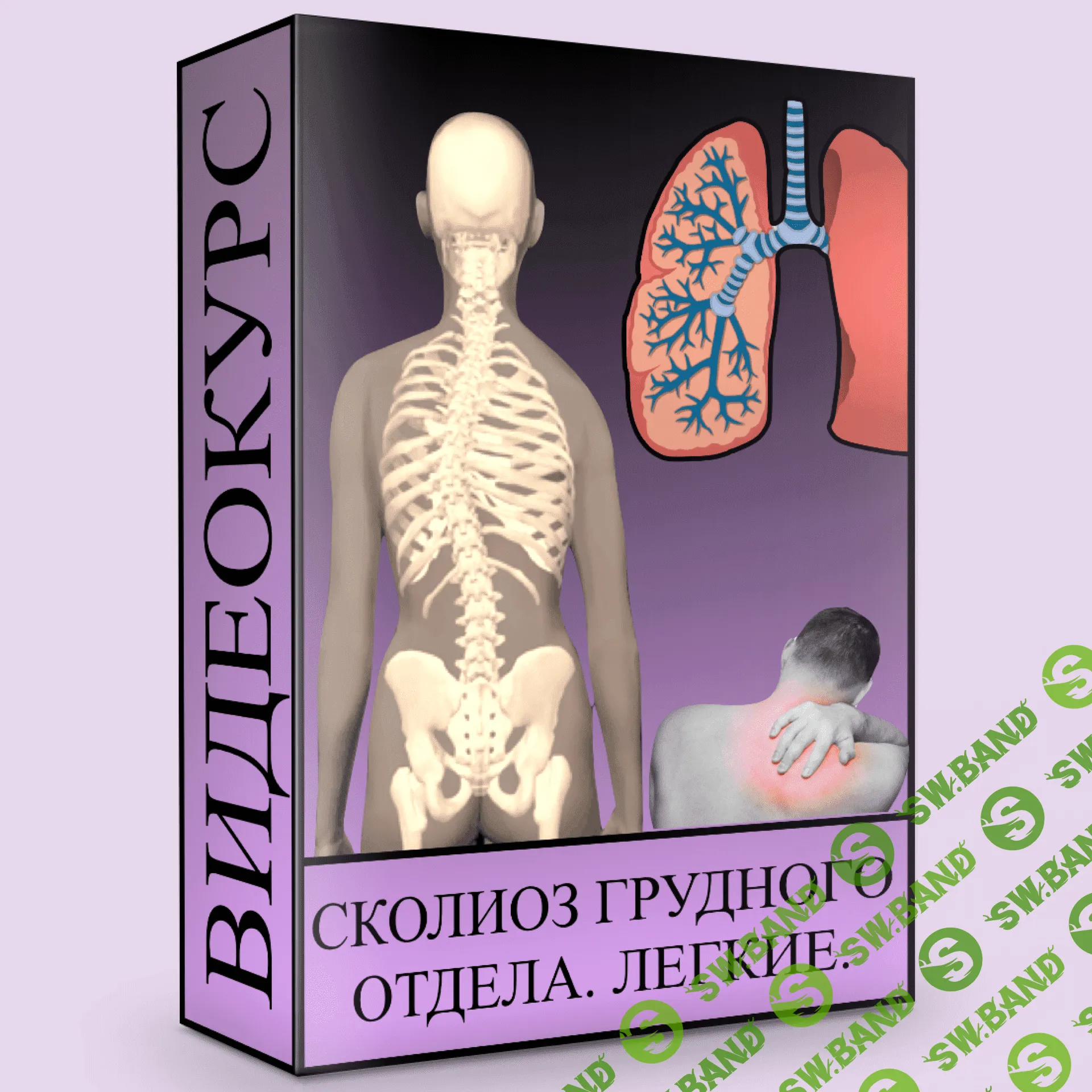 [Людмила Малышева] Сколиоз грудного отдела. Легкие (2020)