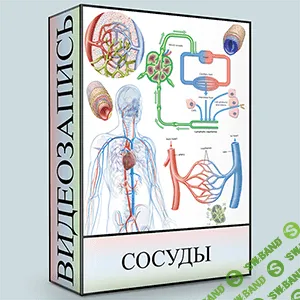 [Людмила Малышева] Сосуды (2020)