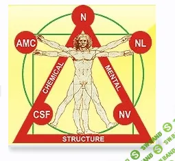 [Людмила Васильева] Функциональные нарушения химических процессов (Лекция 3-го курса)